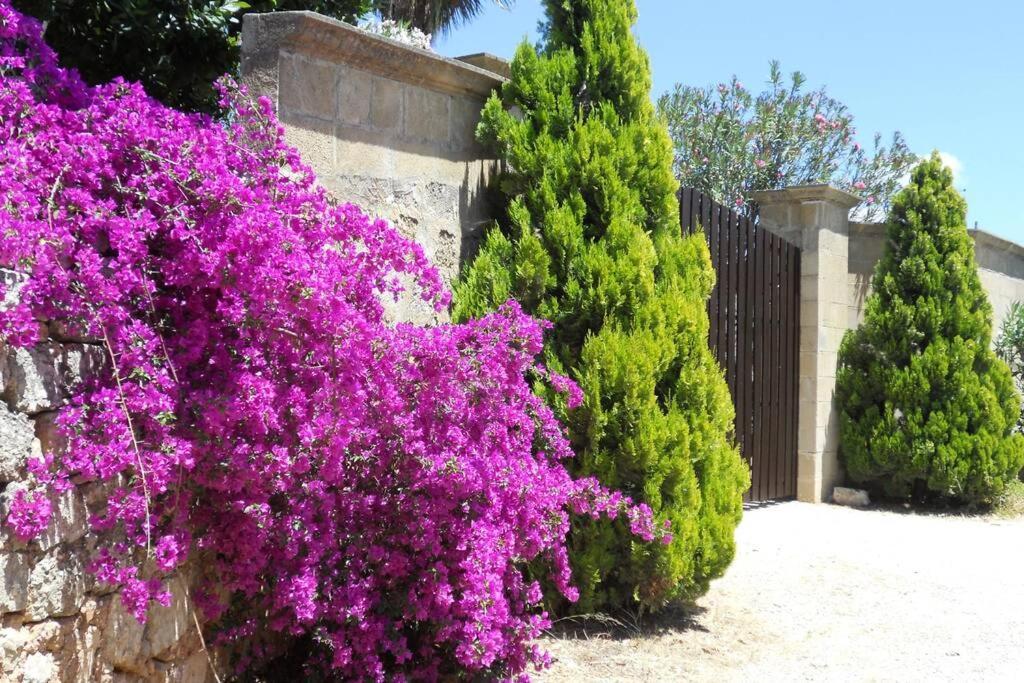 Casa Colonica Villa Gallipoli Luaran gambar